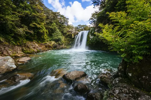 NZ's fresh water quality under pressure