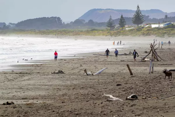 Government looks to sell 35 homes in Waikanae