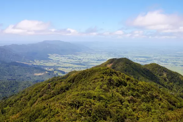 BoP businesses asked to foot the bill for Kaimāī's resources