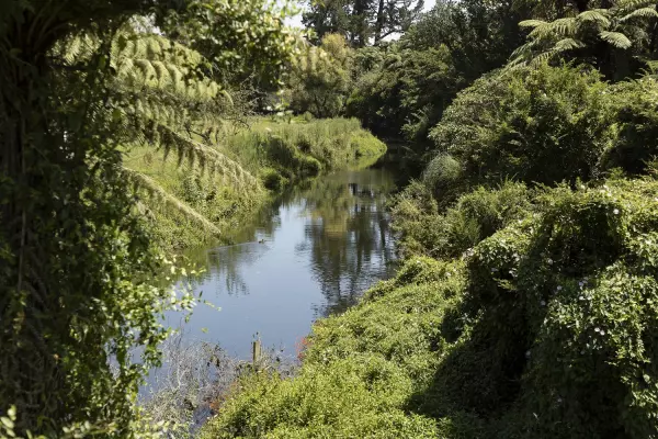 Time to sort out NZ's freshwater modelling chaos: Simon Upton