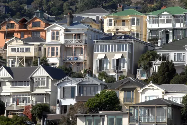 Act and Greens agree Wellington housing report 'absurd'