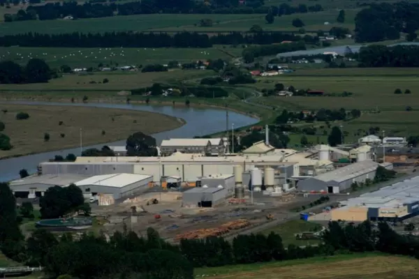 New owners hint at possible IPO for Whakatāne Mill