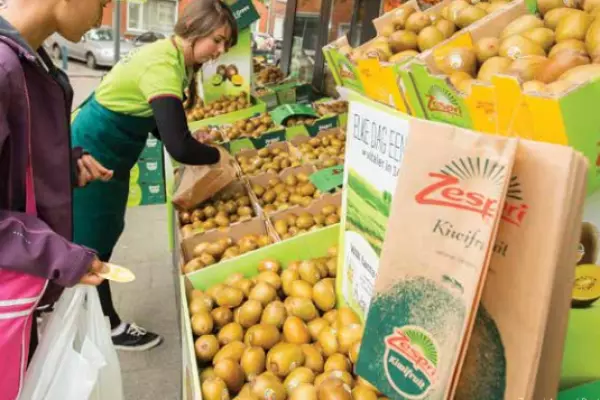 Zespri to destroy $34m worth of mice-infested kiwifruit