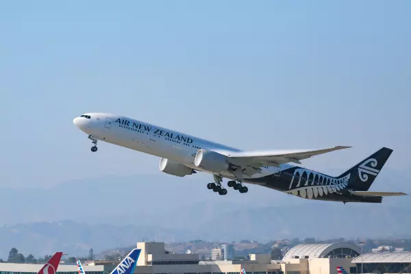 Air NZ shares take flight