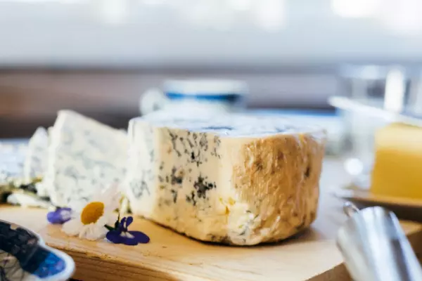 Get cultured - welcome to fromage 101, our new cheese column