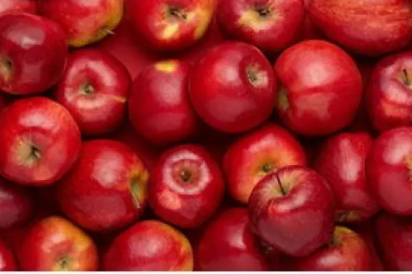 Apple exports slump due to lack of pickers