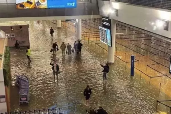 Auckland Airport staff drained terminal in three hours