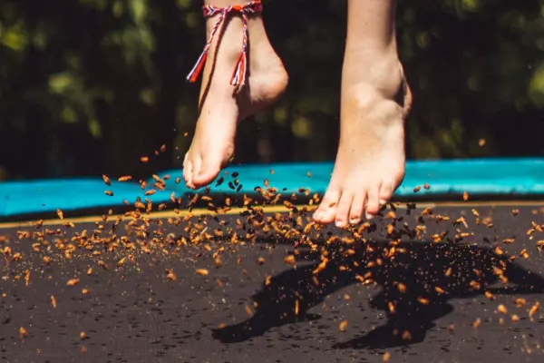 Solid bounce to spur investor optimism