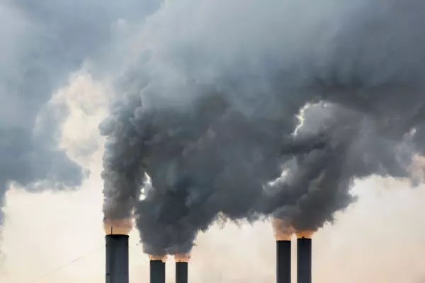 Govt carbon auction attracts no bids