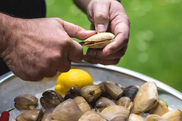 Cloudy Bay Clams companies liquidated after $2.6m sale