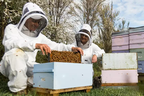 Stewart’s Comvita bid ain’t that sweet