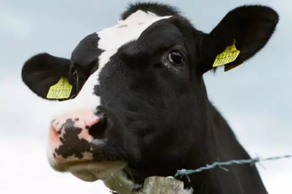 Fonterra shareholders to vote on slashing council's budget, duties