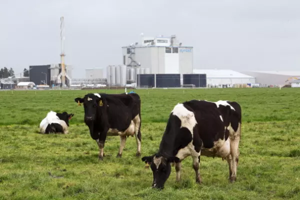 Global dairy prices bounce in latest auction