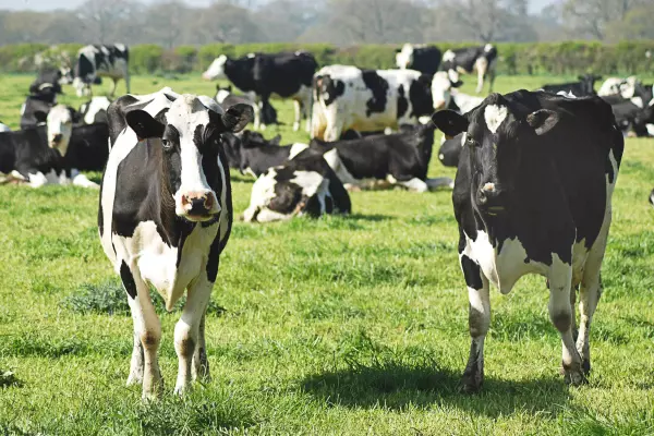 New fund aims for low-emission dairy
