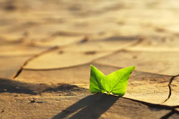 Why govt wrote off funds' climate reports
