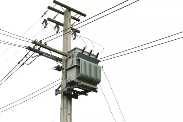 Buller Electricity fights massive transmission fees increase in court
