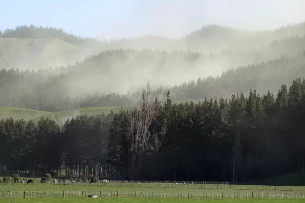 Rush to October deadline for on-farm forest plantings