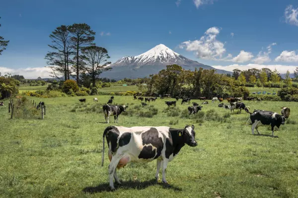 Farm sales tumble as weather and costs bite