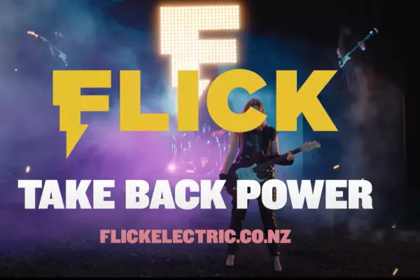 Flick not profitable before $70m sale to Meridian