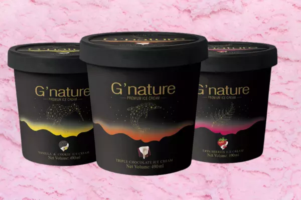 Gourmet ice cream company out of flavour as sales melt; capital sought