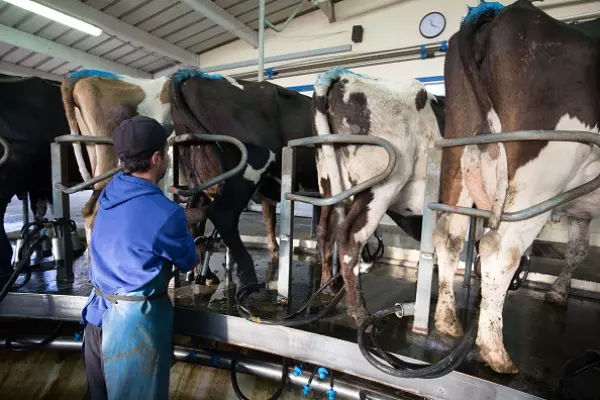 Fonterra's declining milk supply labelled ‘a real threat’