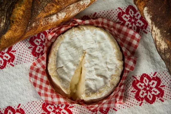 Get cultured - what you need to know about the seven types of cheese