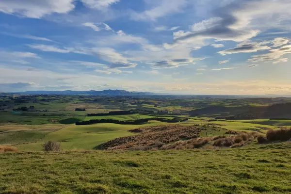 NZ farmer confidence hits highest level since early 2018
