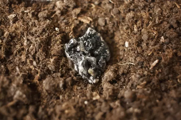 Rare earths – ain’t that rare