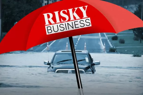 The billion-dollar insurance companies operating in NZ