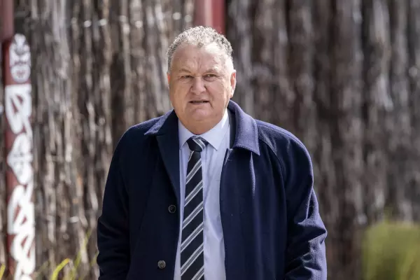 Shane Jones looking at gas rationing for beleaguered industrial users