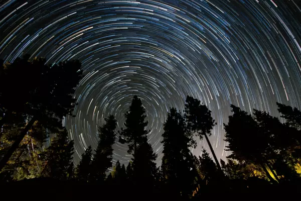 The Macro Series: NZ's North Star