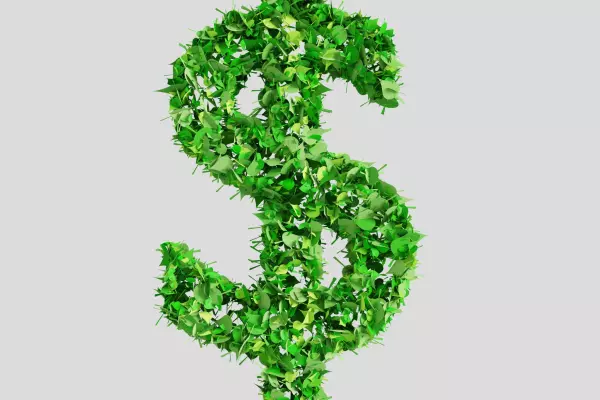 Surviving the sustainable finance space