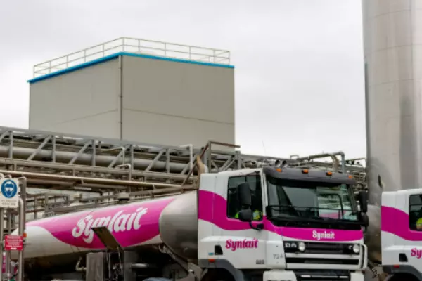 Synlait reports net loss in challenging year