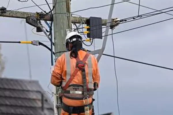 Vector: homes north of Orewa have lost power