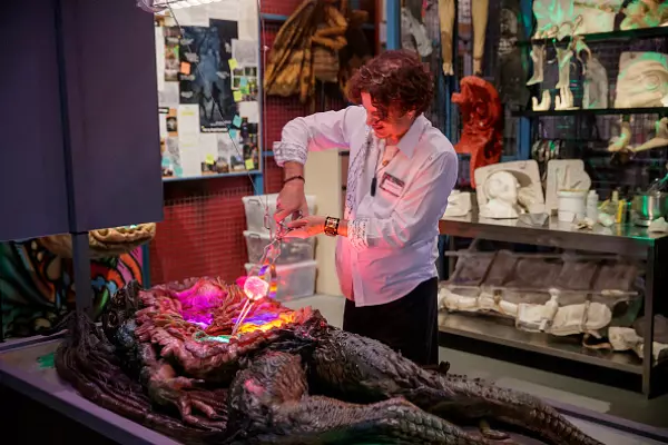 The business of fun: themed entertainment