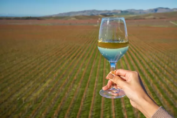 Wine sector has harvest windfall, faces pricing pressures