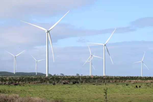Cyclone-delayed wind farm starts delivering power