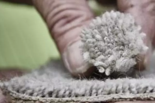 Kāinga Ora says no thanks to wool carpet