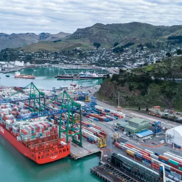 NZ heavyweights weather global supply chain disruptions