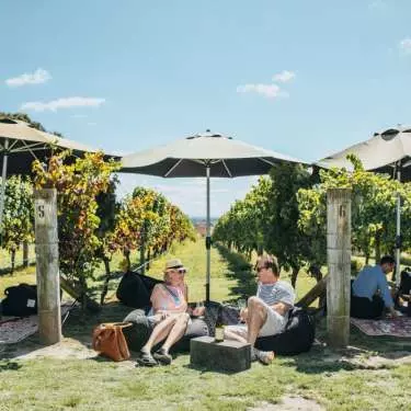 The good life – a tour of Hawke’s Bay's best cellar doors