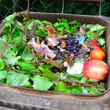 The case to ban organic waste