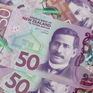 Housing, an avalanche of money and RBNZ policy