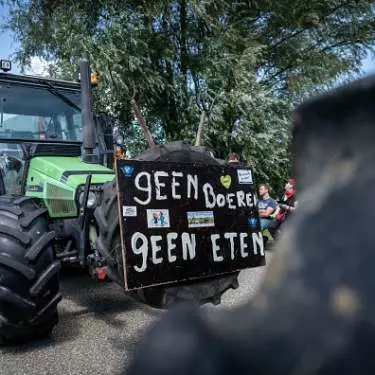 Dutch farmer protests have impact on Fonterra, Mainfreight