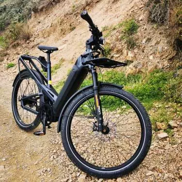 Review: Riese & Müller Homage e-bike – catch it if you can
