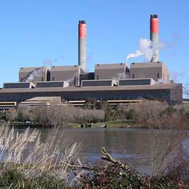 NZ should turn to wood to replace coal – Genesis