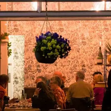 Capital idea - a guide to Wellington's best dining and drinking experiences
