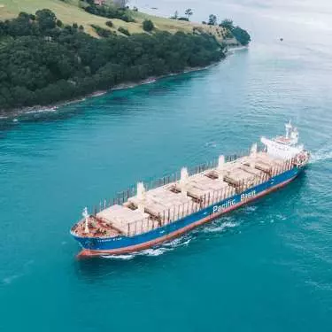 NZ exporters fear harvest season due to shipping woes