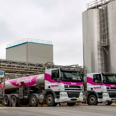 Synlait Milk lifts payout forecast 16%