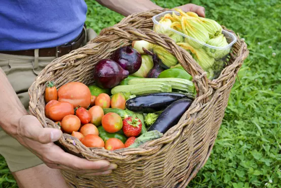 Farm direct won’t fix our food system. Could new retail entrepreneurs?