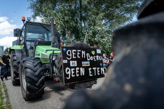 Dutch farmer protests have impact on Fonterra, Mainfreight